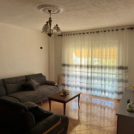 Gridi's Coastal Escape